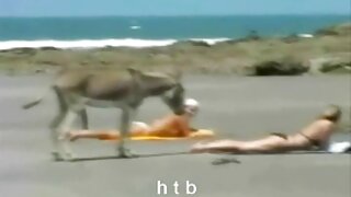 ეგზოტიკური მასაჟისტი ...